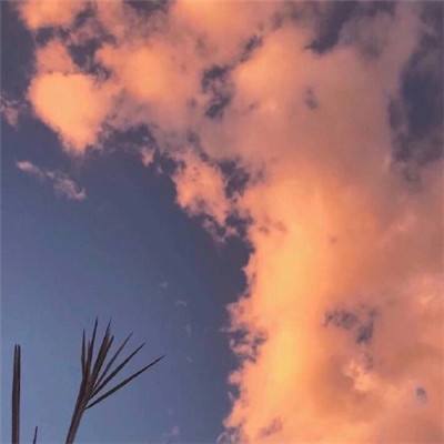 扶摇凰权九游版下载