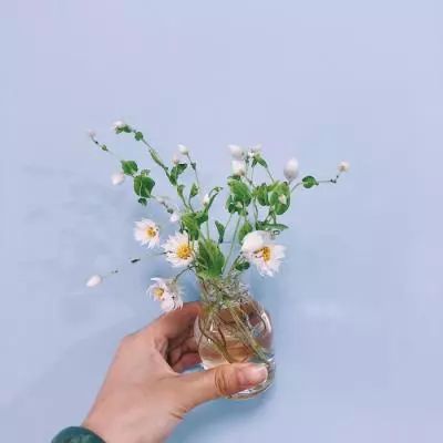 成王败寇游戏下载