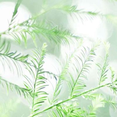 乱斗三国九游版下载